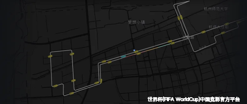 历史命中率展示